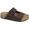 6290 Marron