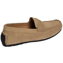 MARTIN Taupe