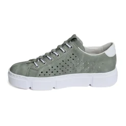 N5953 Vert
