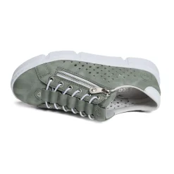 N5953 Vert