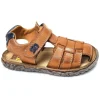 NATAN Camel