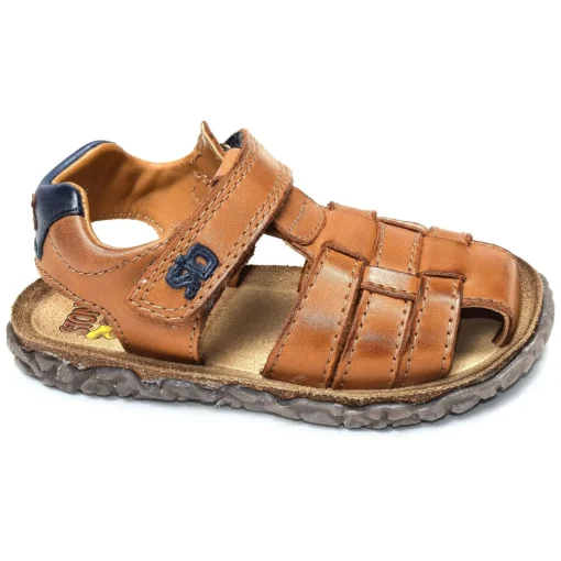 NATAN Camel