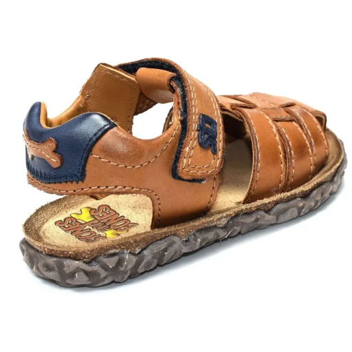 NATAN Camel