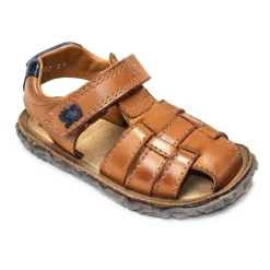 NATAN Camel