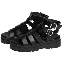 6535 Noir