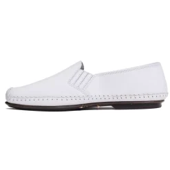 PACIFIC DINGO 106 Blanc