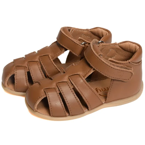 PARVEL Camel