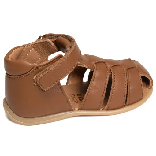 PARVEL Camel