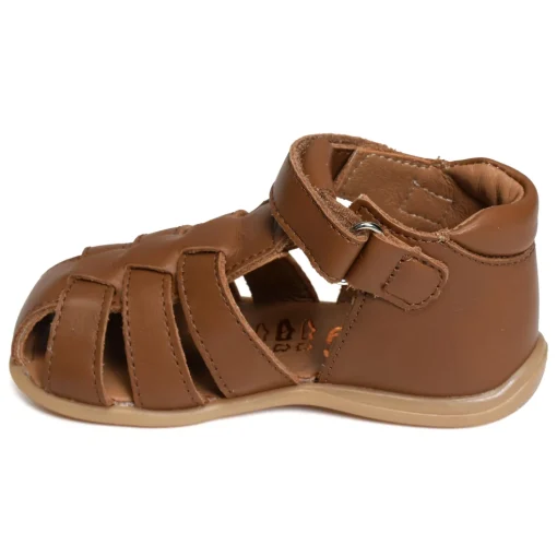 PARVEL Camel