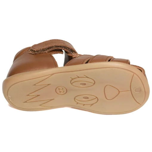 PARVEL Camel