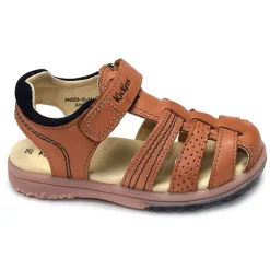 PLATINIUM Camel