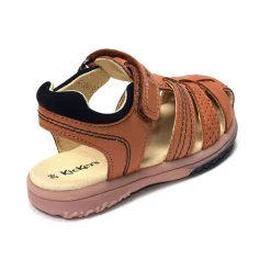 PLATINIUM Camel