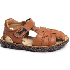 RAXI Camel