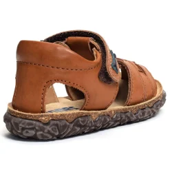 RAXI Camel