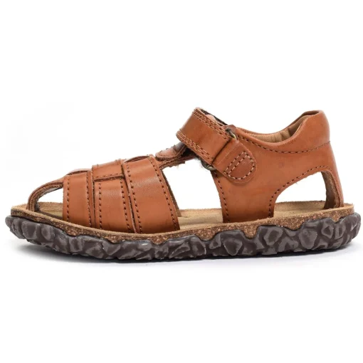 RAXI Camel