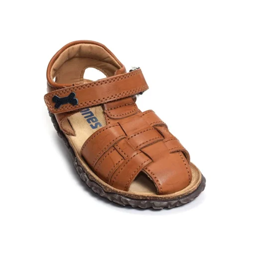 RAXI Camel