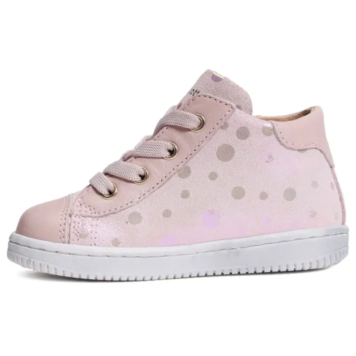 7160 Rose