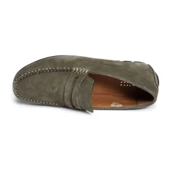 SAILHAN Kaki