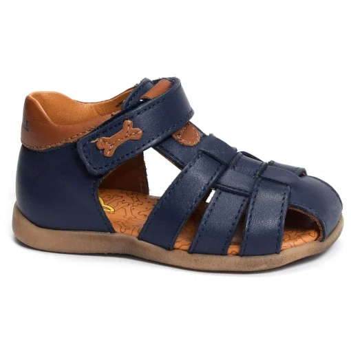 SARO Bleu
