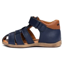 SARO Bleu