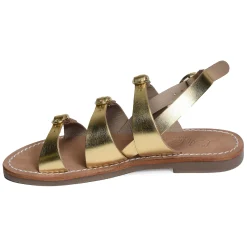 SH301 Gold