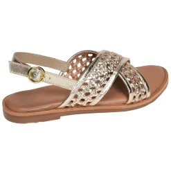 SH2329 Gold