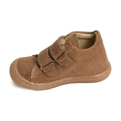STELLA Camel