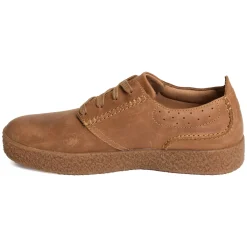 STREETHILL LACE Tan