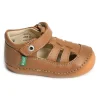 SUSHY BOY Camel