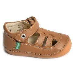 SUSHY BOY Camel