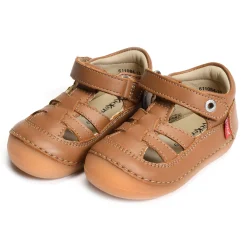 SUSHY BOY Camel