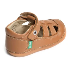 SUSHY BOY Camel