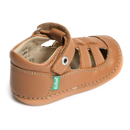 SUSHY BOY Camel
