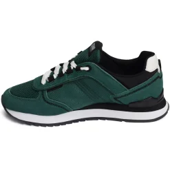 TRAVIS SPORT BOLD Vert