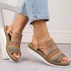 V1241 Multicolore