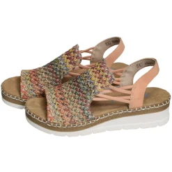 V1241 Multicolore