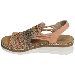 V1241 Multicolore