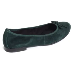22116 Vert