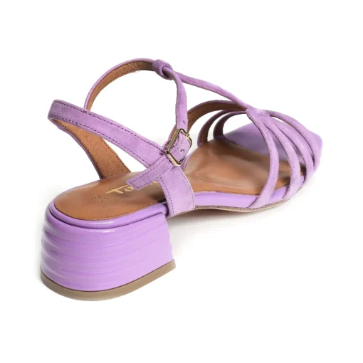 28223 Violet