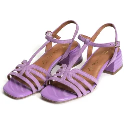28223 Violet