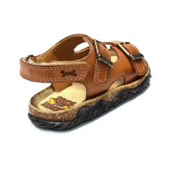 WHAM Camel