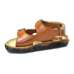 WHAM Camel