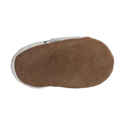 WINTERING BEAR Gris Marron
